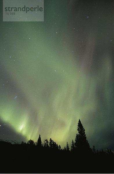 10643168,  Aurora Borealis,  Baum,  Bäume,  Kanada,  Nordamerika,  bunt,  voll von geheimen,  grüne,  grünen Norden Licht,  hoch,  chee