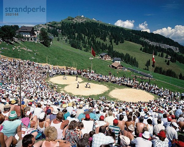 10015980,  Tradition,  Folklore,  Schlachtfelder,  Rigi,  Schweiz,  Europa,  Schweizer Ringen,  Schaukeln,  Sport,  Überblick