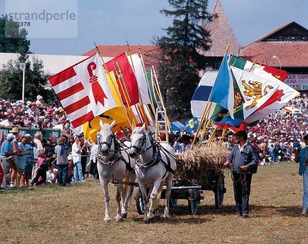 Tradition, Party, Fahne, Reklameschild, Kanton Jura, Folklore