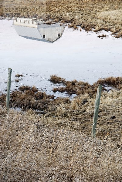 Scheune Reflexion in Prairie Slough,  in der Nähe von Cochrane,  Alberta,  Kanada