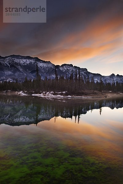 Unbenannte heißer Frühling,  Miette Range,  Jasper-Nationalpark in Alberta,  Kanada
