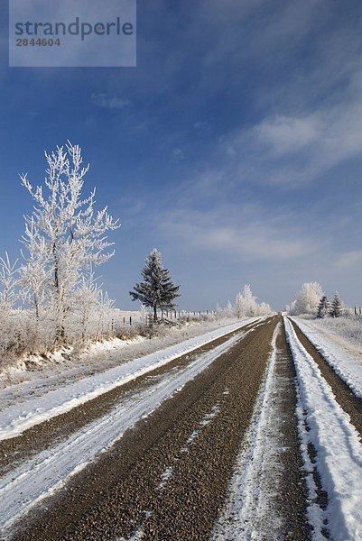 Gravel Road in der Nähe von Cochrane,  Alberta,  Kanada