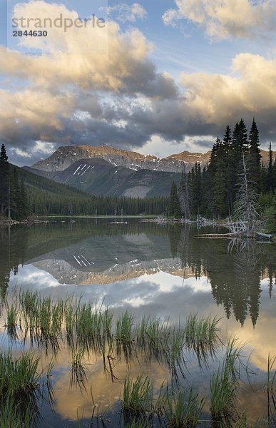 Elk Range,  Elbow Lake,  Kananaskis Country,  Alberta,  Kanada