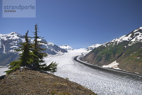 Lachs-Gletscher,  British Columbia,  Kanada