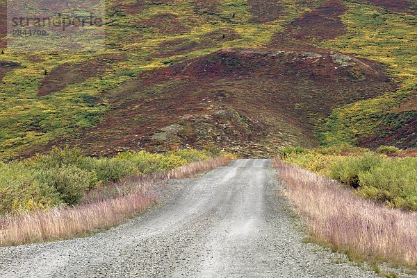 Unasphaltierten Straße,  Tombstone Territorial Park,  Yukon-Territorium,  Kanada