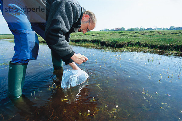 Ein Mann sammeln Froschspawn in der Umwelt Schutz-Ansicht,  Schweden.