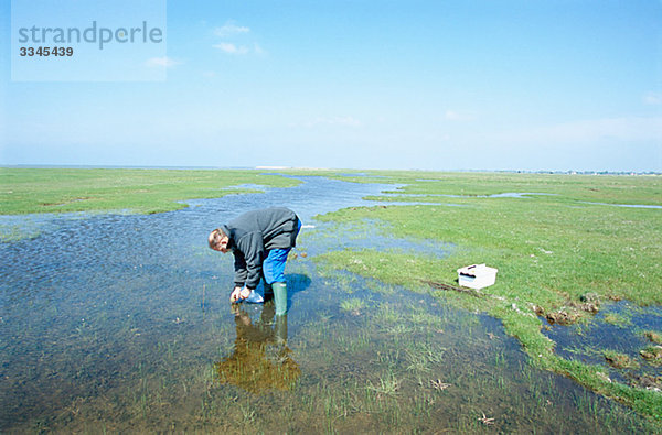 Ein Mann sammeln Froschspawn in der Umwelt Schutz-Ansicht,  Schweden.