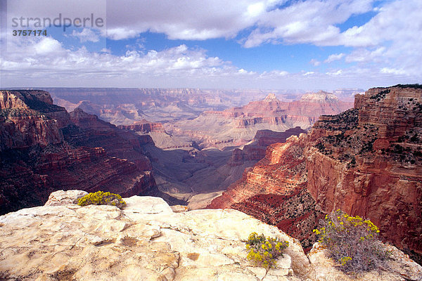 Cape Royal am North Rim des Grand Canyon,  Grand Canyon National Park,  Arizona,  USA,  Nordamerika