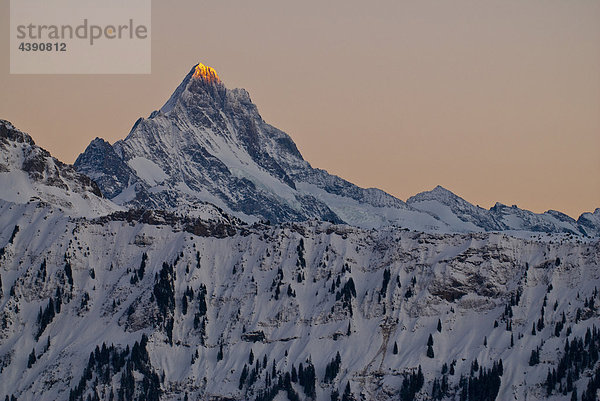 Der Gipfel des Schreckhorns im letzten Abendlicht,  Sicht von Beatenberg