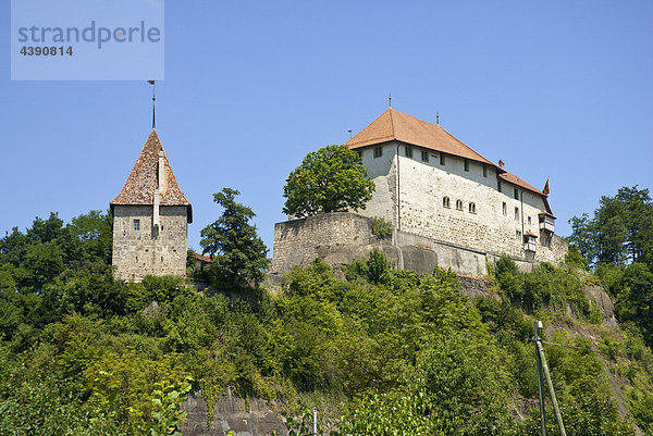 Schloss Laupen auf einem Felsvorsprung über dem Dorf Laupen