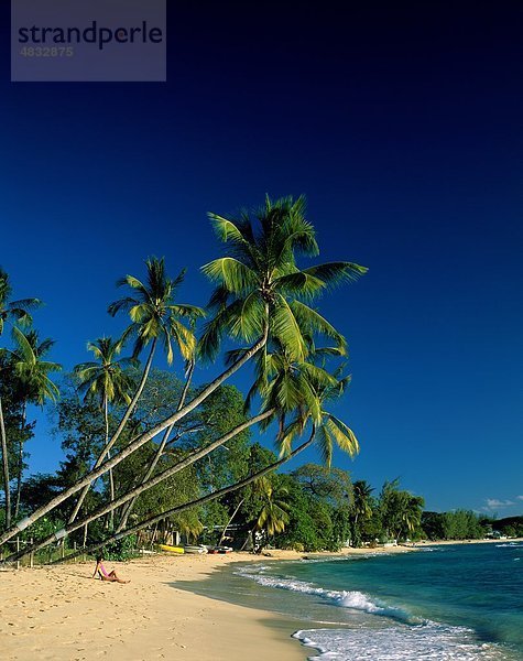 Barbados,  Strand,  europäischer Abstammung,  Urlaub,  Isolated,  Isolation,  Kings Beach,  Landmark,  Lay,  Lügen,  Palm,  Palmen,  Menschen,  Relax,  Relaxin