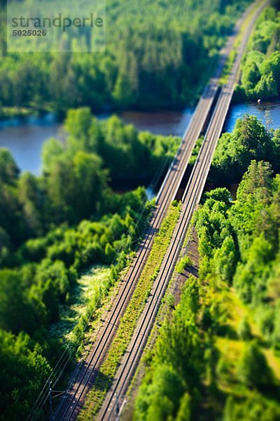 Railroad durch Wald