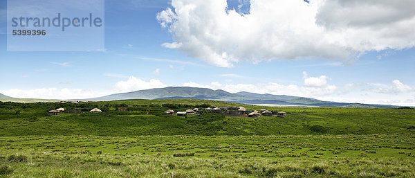 Hütten,  Dorf der Massai,  Maasai,  Maassai,  Masai,  Boma,  Ngorongoro Conservation Area,  Tansania,  Afrika
