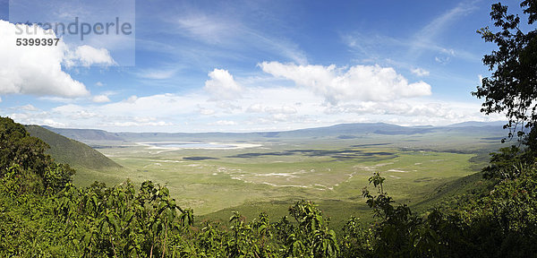 Aussichtspunkt,  Panorama,  Ngorongoro Krater,  Vulkan,  Ngorongoro Conservation Area,  Tansania,  Afrika