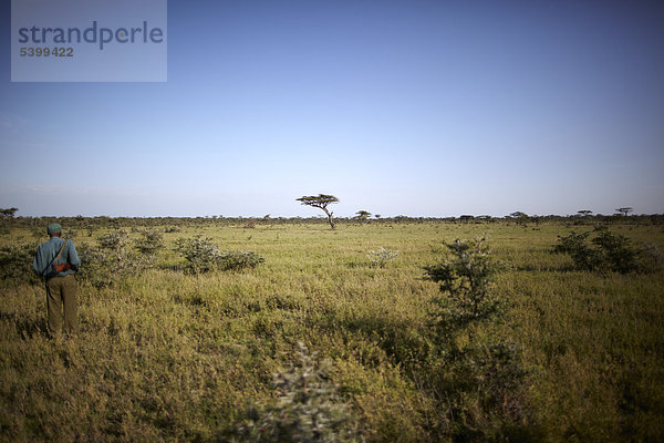 Ranger in der Serengeti,  Tansania,  Afrika