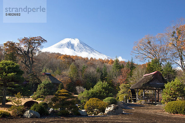 Japan,  November,  Asien,  Berg Fuji,  Dorf,  Oshino,  Masuno-Ya wachen,  Garten,  Teich,  Idylle,  Asien