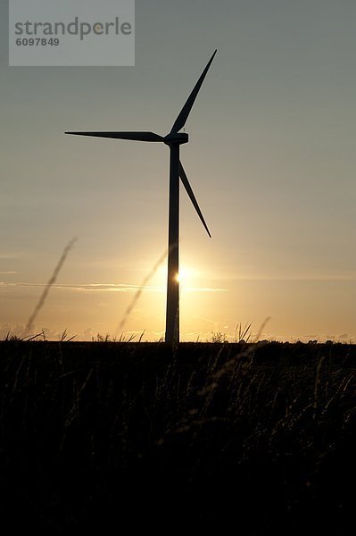 Windturbine, Windrad, Windräder, Ländliches Motiv, ländliche Motive, Silhouette, niederländisch