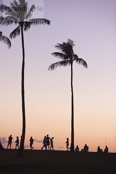 Mensch , Menschen , Strand , Abend , Silhouette , Hawaii , Honolulu , Dämmerung