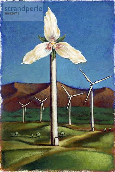 Blume , Wind , Illustration