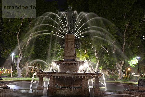 beleuchtet , Wasser , Nacht , Baum , Statue , Feld , Ziehbrunnen,  Brunnen , Prüfung , Australien , New South Wales , Sydney