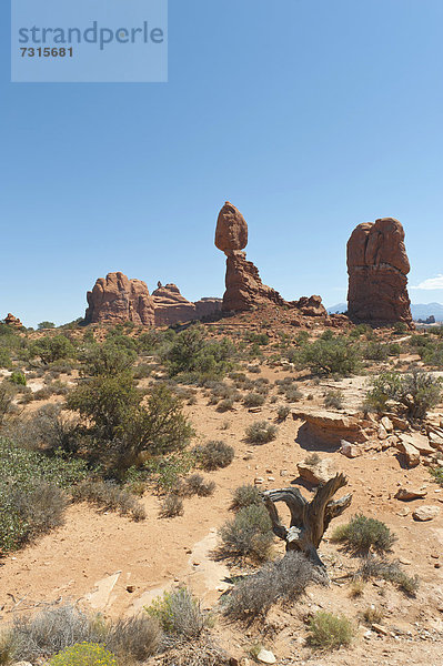 Roter Sandstein,  Balance,  wackeliger Felsen,  Balanced Rock,  Arches-Nationalpark,  Utah,  Westen der USA,  Vereinigte Staten von Amerika,  Nordamerika