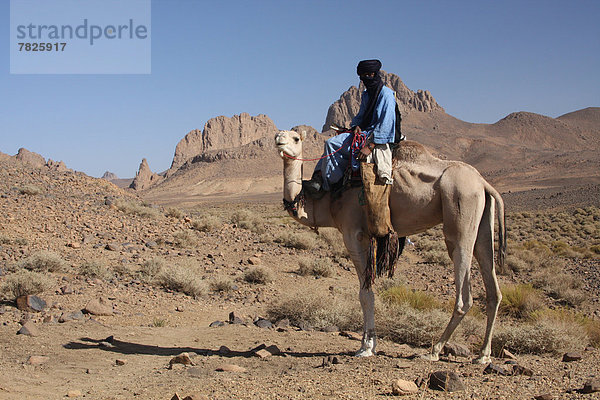 Nordafrika , Dromedar,  Einhöckriges,  Arabisches Kamel,  Camelus dromedarius , Berg , fahren , Wüste , Sahara , Kamel , Afrika , Algerien , mitfahren , Tuareg