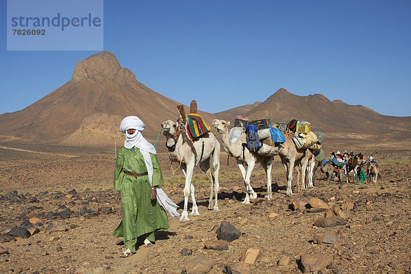 Nordafrika , Dromedar,  Einhöckriges,  Arabisches Kamel,  Camelus dromedarius , Karawane , Berg , fahren , Wüste , Sahara , Afrika , Algerien , Kamel , Campingwagen , mitfahren , Tuareg