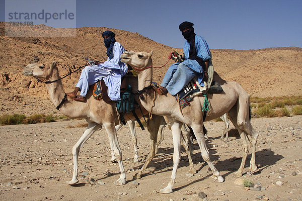 Nordafrika , Dromedar,  Einhöckriges,  Arabisches Kamel,  Camelus dromedarius , Berg , fahren , Wüste , Sahara , Afrika , Algerien , Kamel , mitfahren , Tuareg
