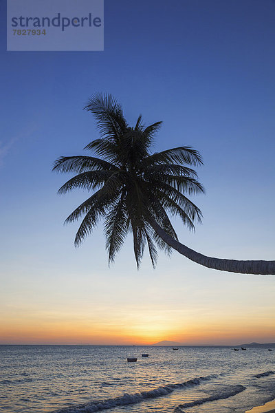 Palme , Strand , Sonnenuntergang , Silhouette , Küste , Meer , ernst , Asien , Abenddämmerung , Mui Ne , Vietnam