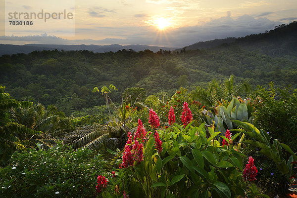 Tropisch,  Tropen,  subtropisch , Sonnenuntergang , Landschaft , Hügel , Natur , Mittelamerika , Costa Rica