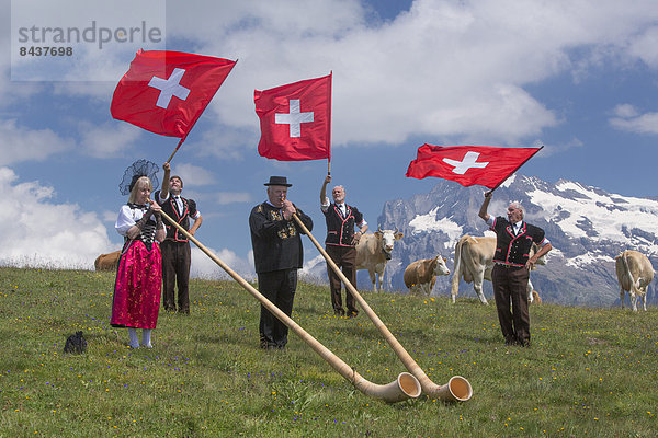 Hausrind, Hausrinder, Kuh, Schweizer Flagge, Schweizer Flaggen, Fest, festlich, Tradition, Fahne, Berner Alpen, Folklore, schweizerisch