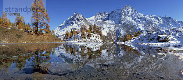 Panorama, Europa, Berg, Baum, See, Herbst, Bergsee, Schweiz