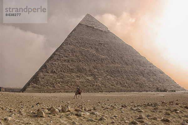 pyramidenförmig,  Pyramide,  Pyramiden , Kairo,  Hauptstadt , Stein , Sturm , fahren , Reise , Ziel , Wüste , Sehenswürdigkeit , Naher Osten , altmodisch , Afrika , antik , Kamel , Ägypten , Gise , Pyramide