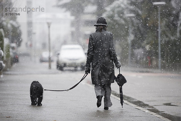 Frau, gehen, Regenschirm, Schirm, Straße, Hund, schneien