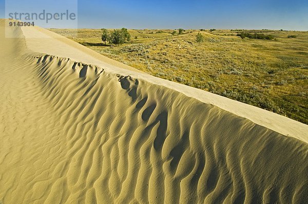Sand , Düne , Saskatchewan , Kanada , kanadisch , Prärie