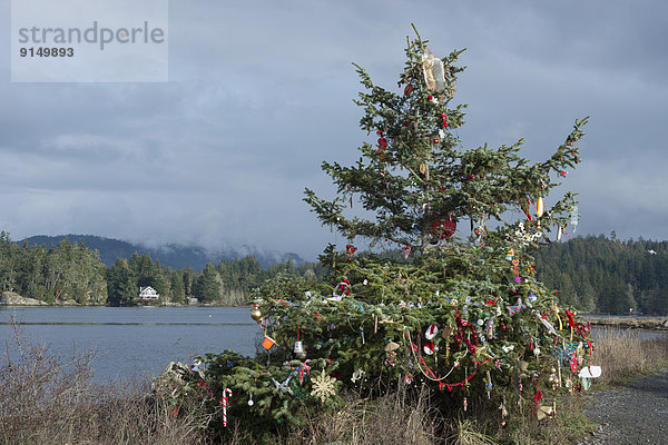 Anschnitt, Strand, Weihnachtsbaum, Tannenbaum, Dekoration, Gemeinschaft, British Columbia, Kanada, Quimper