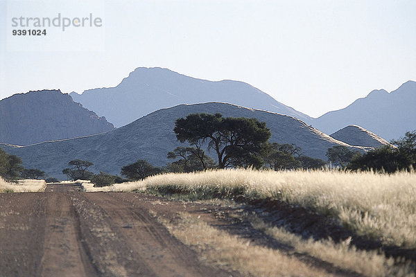 Baum, Silhouette, Fernverkehrsstraße, Schotterstrasse, Namibia, Gegenlicht, Afrika