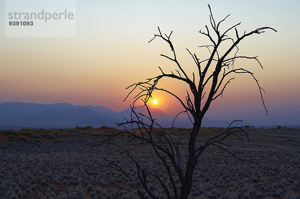 Sonnenuntergang, Düne, Namibia, Afrika, Blaue Stunde