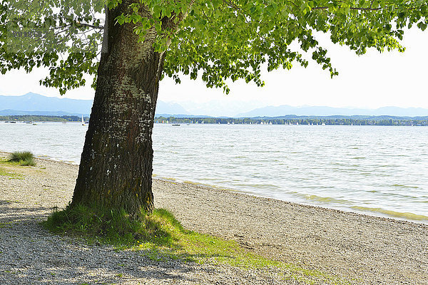 Ambach Wiesbach,Bayern,Deutschland,Oberbayern,Starnberger See ... Ambach Wiesbach,Bayern,Deutschland,Oberbayern,Starnberger See ...