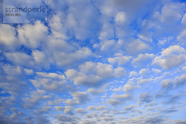 blauer Himmel, wolkenloser Himmel, wolkenlos, Muster, Wolke, Konzept, Himmel, Wind, weiß, Abstraktion, Hintergrund, blau, Bewegung, Schnittmuster, Wetter
