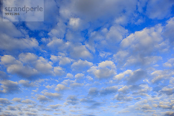 blauer Himmel, wolkenloser Himmel, wolkenlos, Muster, Wolke, Konzept, Himmel, Wind, weiß, Abstraktion, Hintergrund, blau, Bewegung, Schnittmuster, Wetter