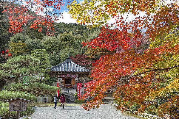 Ruhe, Landschaft, Reise, bunt, Stille, Herbst, Tourismus, Asien, Allee, Japan, Kyoto