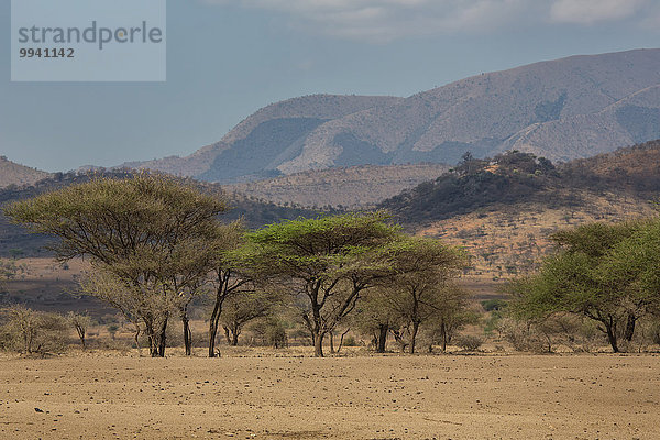 Ostafrika, Landschaftlich schön, landschaftlich reizvoll, Berg, Baum, Landschaft, Reise, Afrika, Tansania