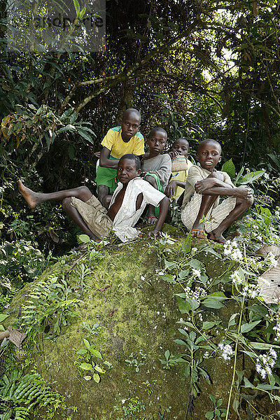 Kinder,  Jungen sitzen im Urwald,  Matamba-Solo,  Provinz Bandundu,  Republik Kongo