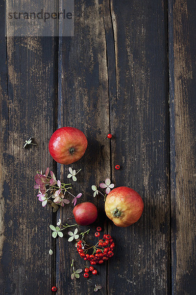 Blüten von Hortensien,  Feuerdorn und roten Äpfeln auf dunklem Holz