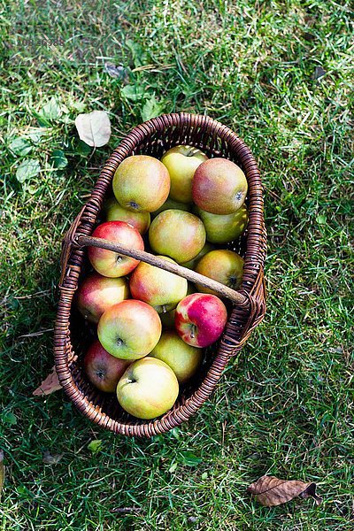 Frische hausgemachte Äpfel im Korb,  hoher Winkel