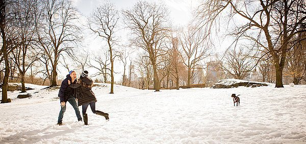 Junges Paar mit Hund spielt im verschneiten Central Park herum,  New York,  USA