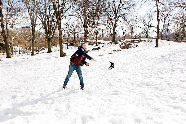 Junger Mann spielt mit Hund im verschneiten Central Park,  New York,  USA