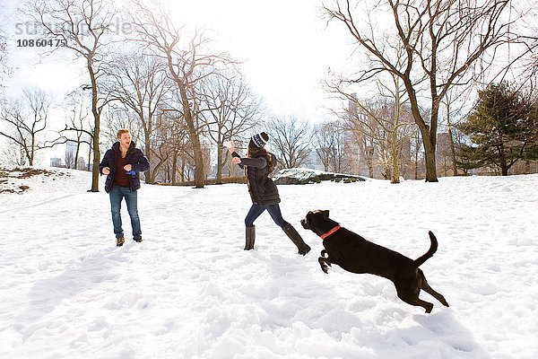 Junges Paar spielt mit Hund im verschneiten Central Park,  New York,  USA