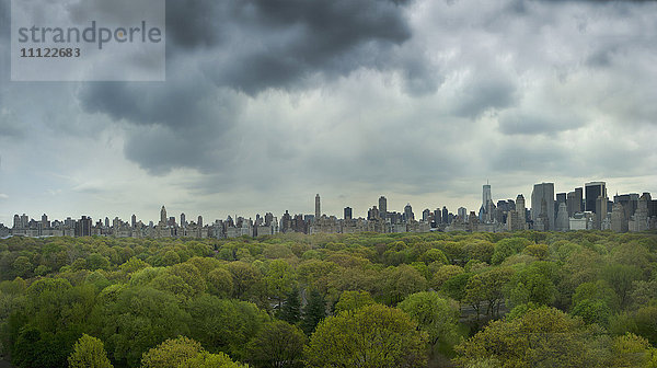 Stadtpark und Stadtsilhouette,  New York,  New York,  Vereinigte Staaten